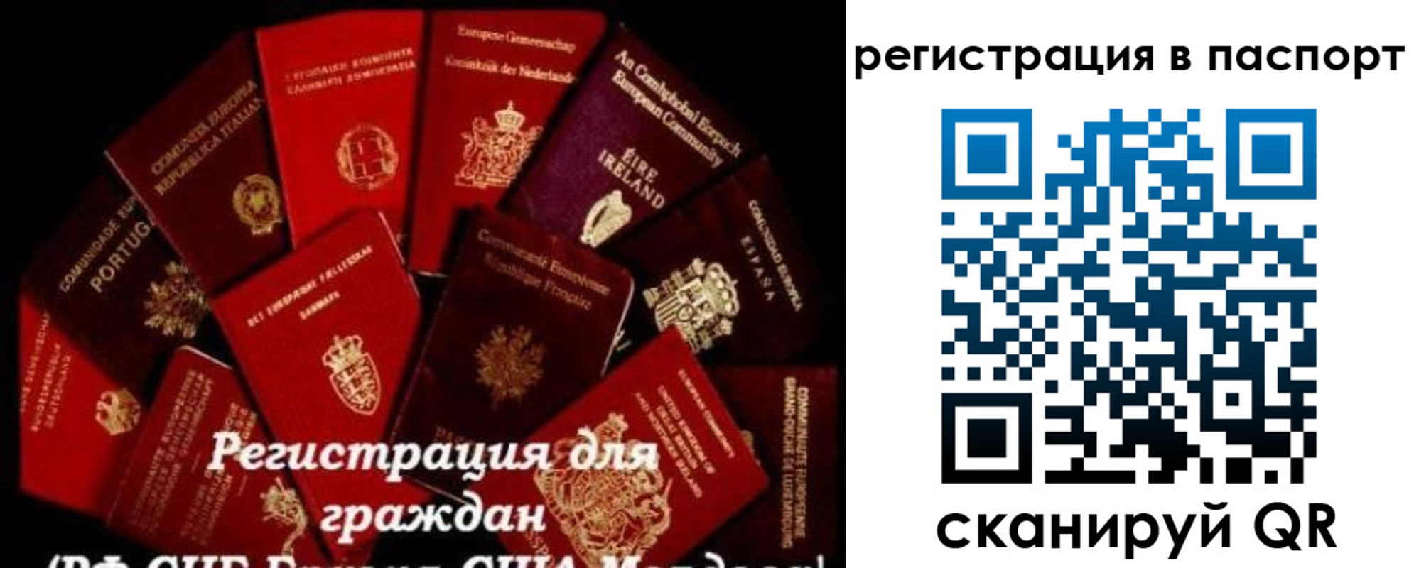 миграционный учет в Щиграх